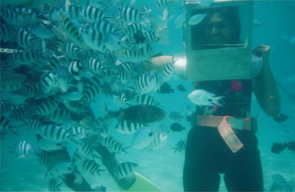 Snorkelling Mauritius lagoon
